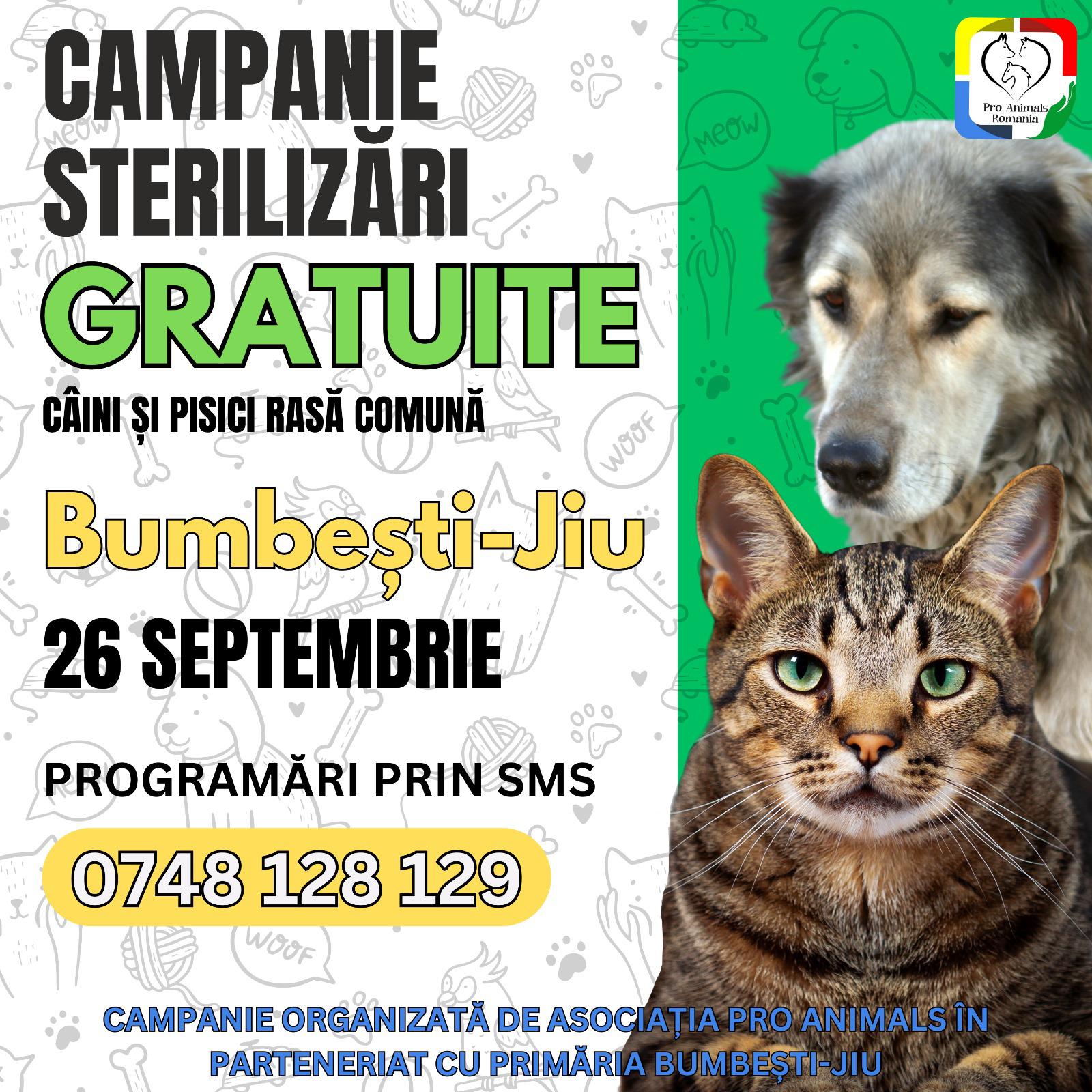 Campanie sterilizari